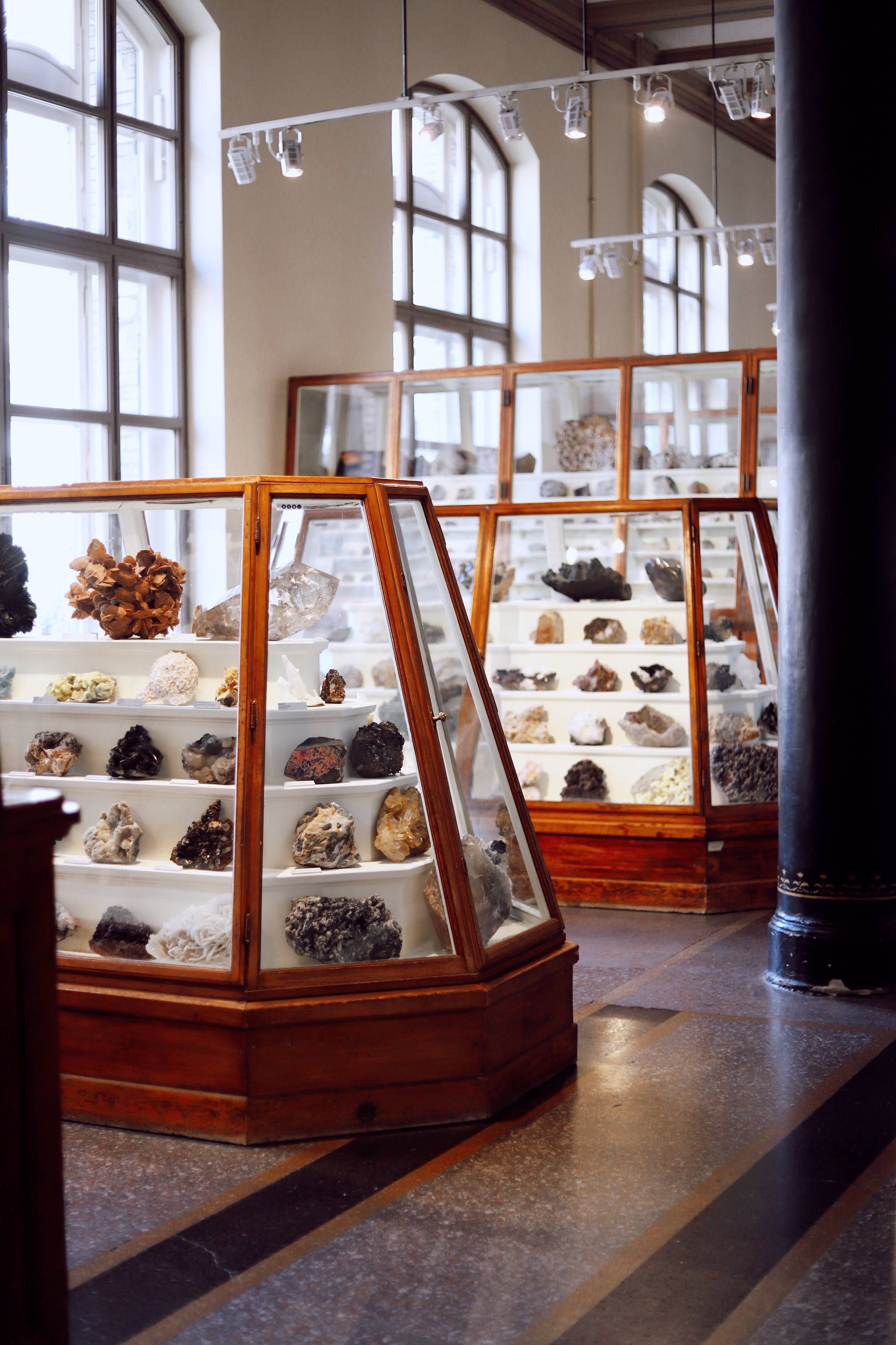 Antiquarium Arborense