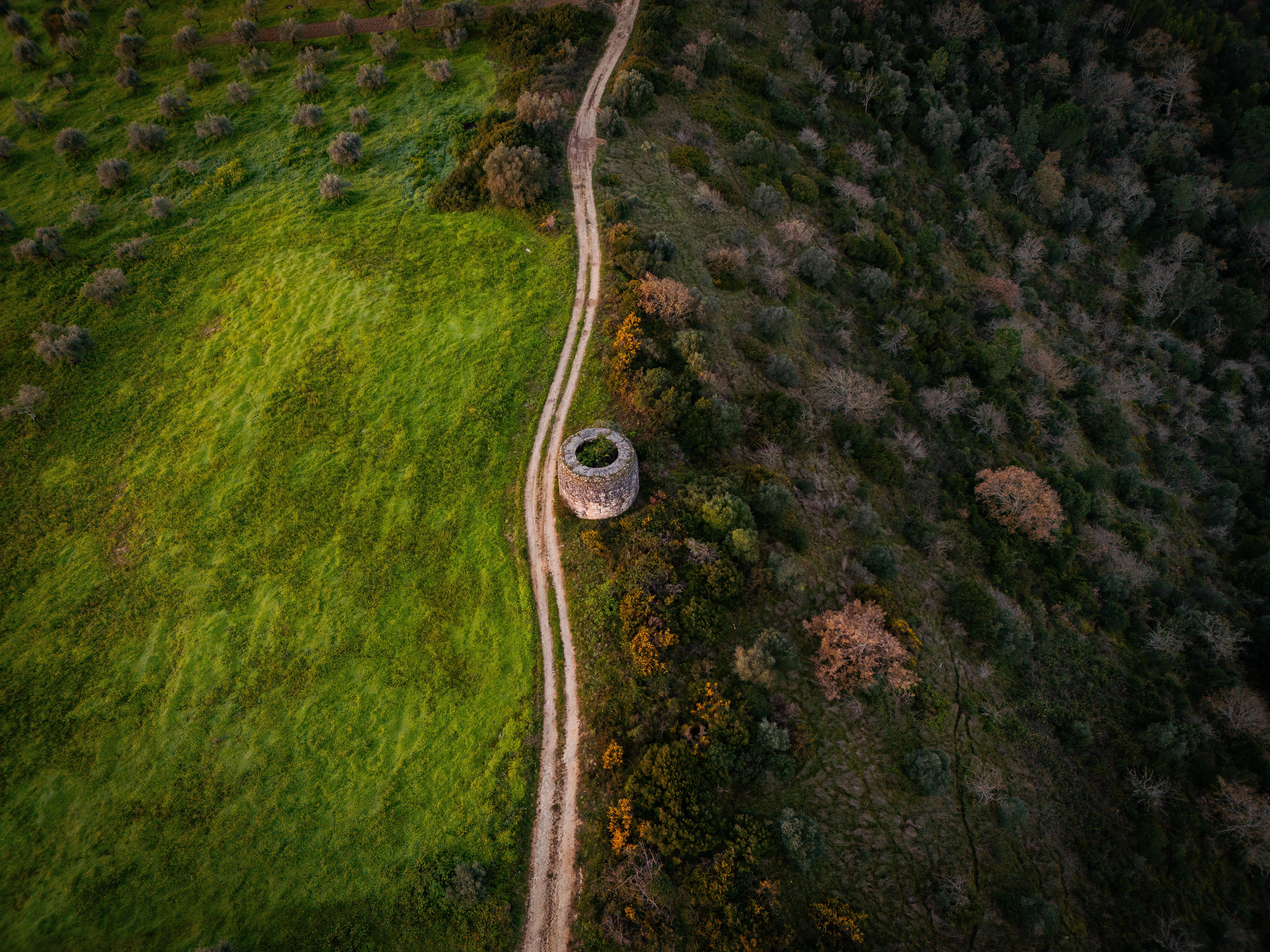 Nuraghe Losa