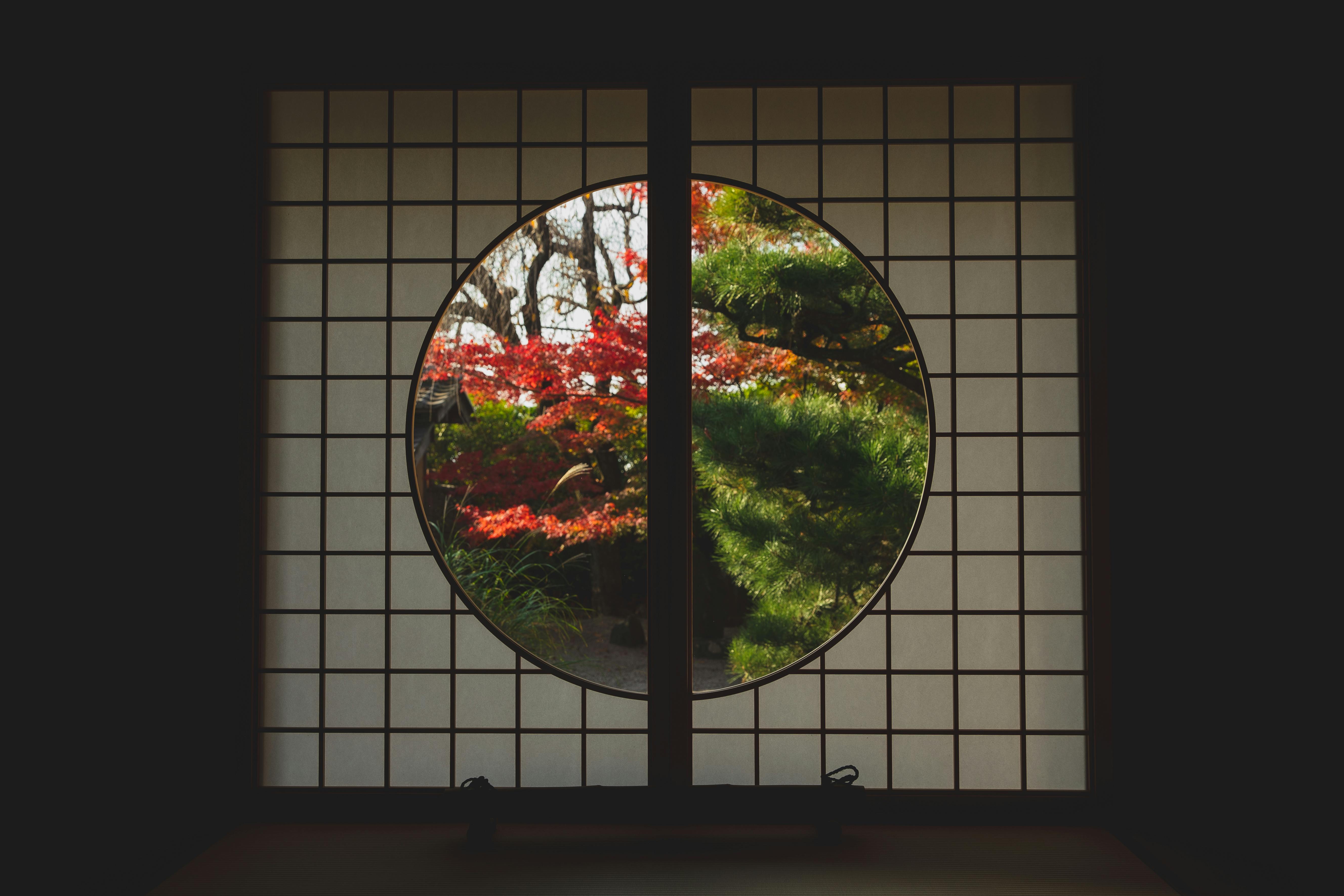 Hanami: l'arte di guardare i fiori